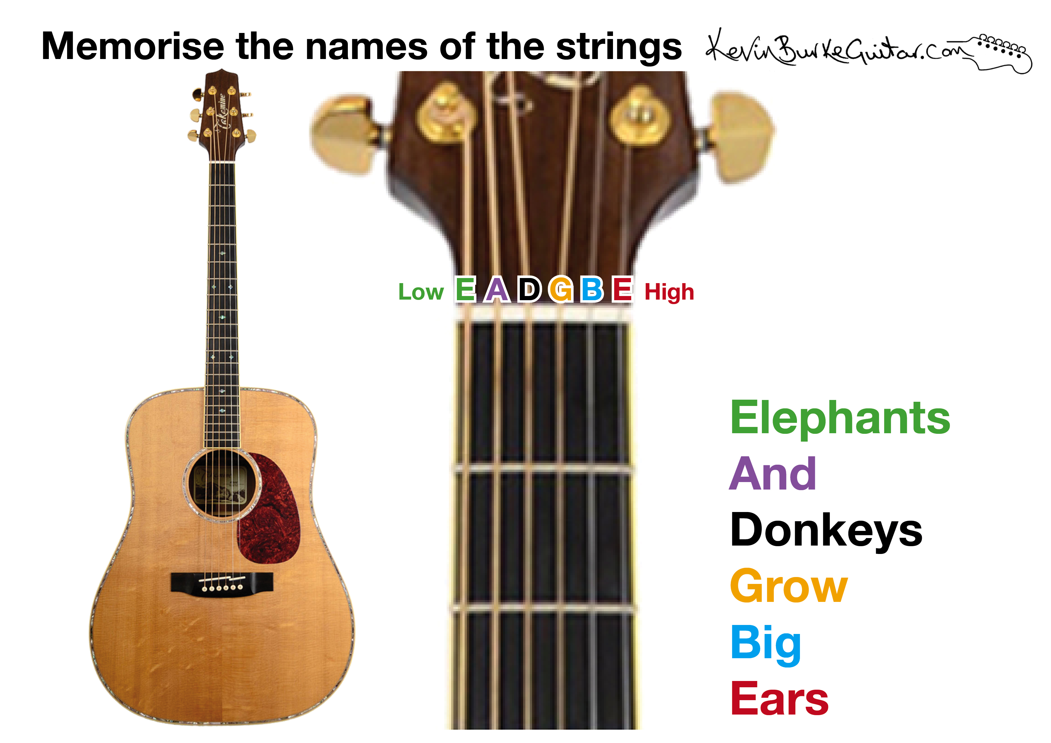 acoustic guitar strings labeled